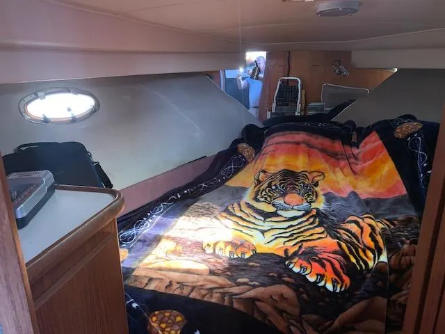 Slide: The Image of Cozy cabin interior of 1992 Carver 33 Aft Cabin with vibrant tiger blanket. - 15