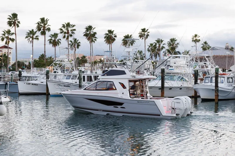 Slide: The Image of 2026 Solara S 310 SB boat docked in a marina with palm trees in the background. - 2