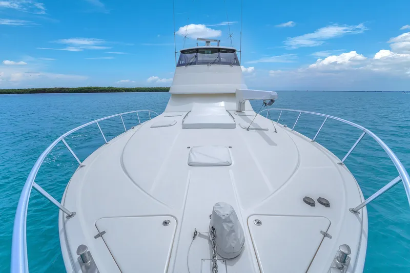 Slide: The Image of Riviera 51 Enclosed Bridge 2008 - 61