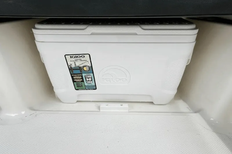 Slide: The Image of Sea Ray 21 SPX OB 2021 - 21