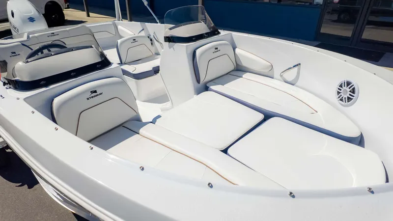 Slide: The Image of Stingray 172DC 2025 - 12