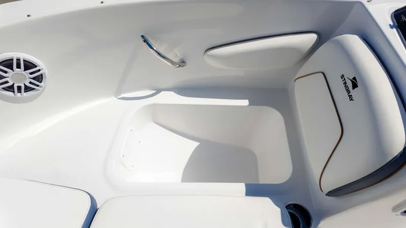 Slide: The Image of Stingray 172DC 2025 - 13