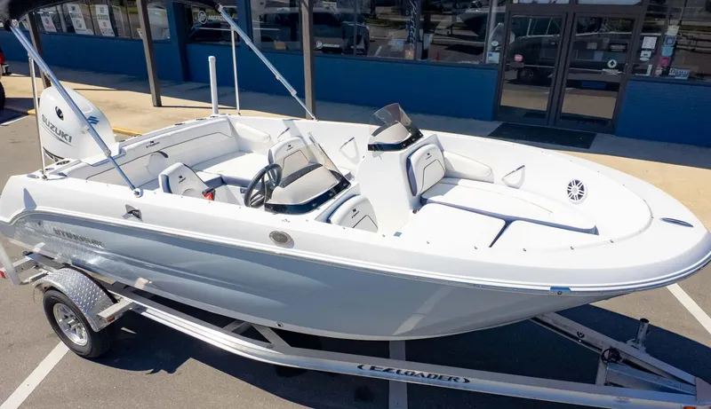 Slide: The Image of Stingray 172DC 2025 - 3