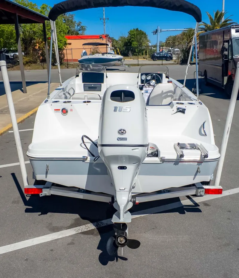 Slide: The Image of Stingray 172DC 2025 - 6