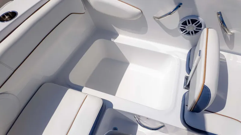 Slide: The Image of Stingray 172DC 2025 - 9