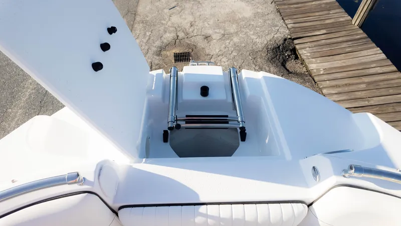 Slide: The Image of 2025 Stingray 231DC boat with open storage compartment and ladder at dockside. - 24