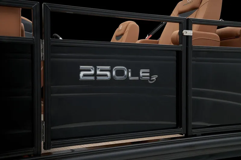 Slide: The Image of Regency 250 LE3 2024 - 17