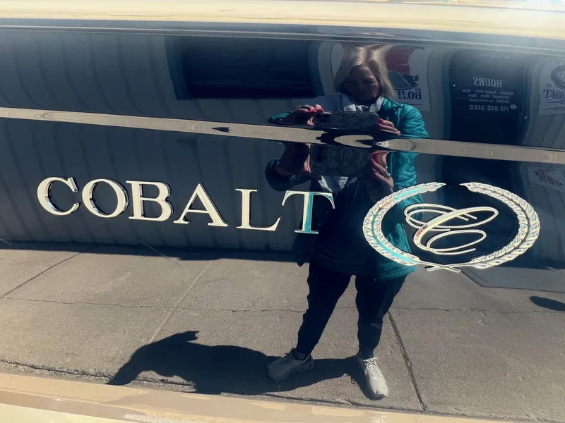 Slide: The Image of 2007 Cobalt 232 boat logo with reflection on shiny surface. - 3