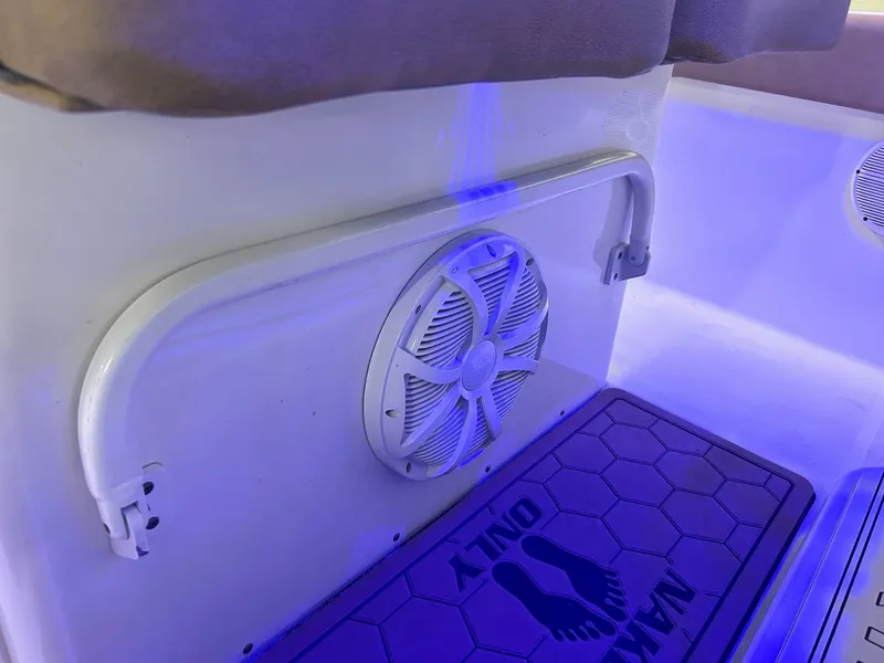 Slide: The Image of 2020 Sea Hunt Ultra 275 SE interior with speaker and "Walk Only" mat. - 9