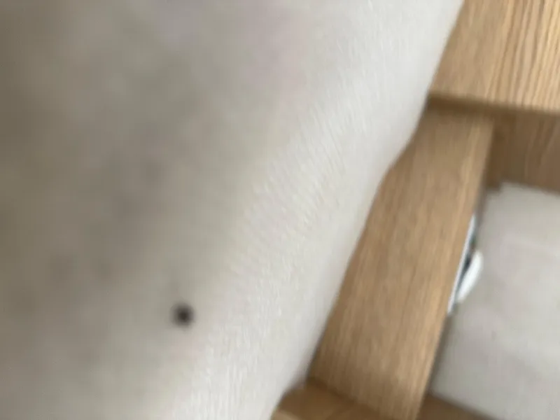 Slide: The Image of Blurry close-up of a surface, possibly fabric or upholstery, with a small black dot. - 35