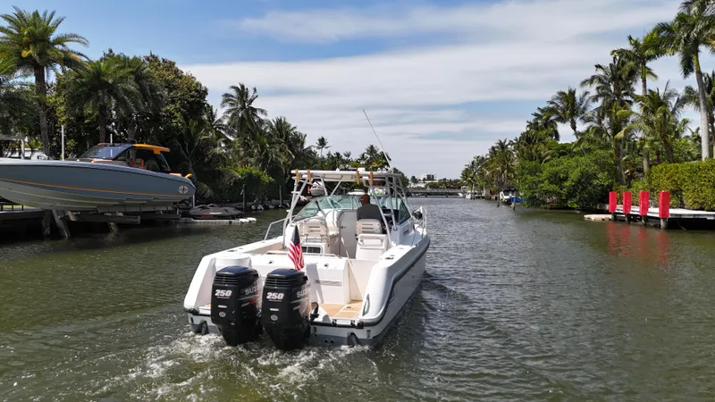 Slide: The Image of 1999 Boston Whaler 28 Conquest boat cruising on a scenic, palm-lined waterway. - 27