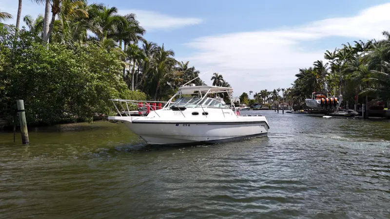 Slide: The Image of 1999 Boston Whaler 28 Conquest boat cruising on a scenic, palm-lined waterway. - 32