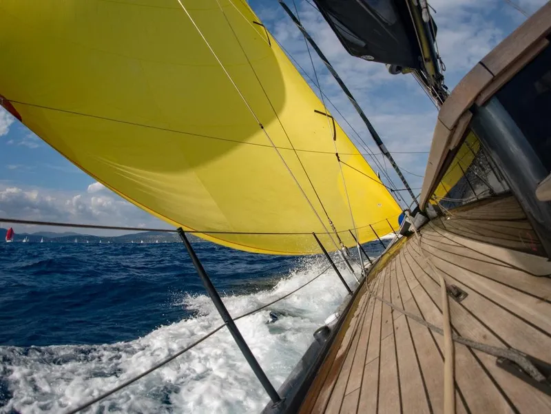 Slide: The Image of Sailing yacht with yellow sails on open sea, Black Pepper Code 2, 2025 model. - 7