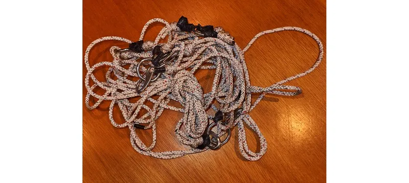 Slide: The Image of Sceptre 36 Brandywine 1980 - 59