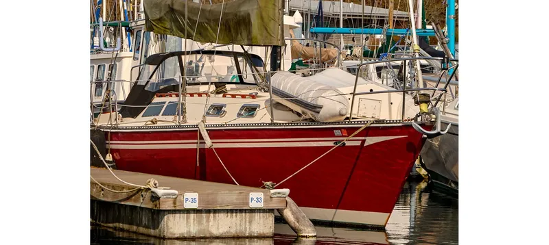 Slide: The Image of Sceptre 36 Brandywine 1980 - 81