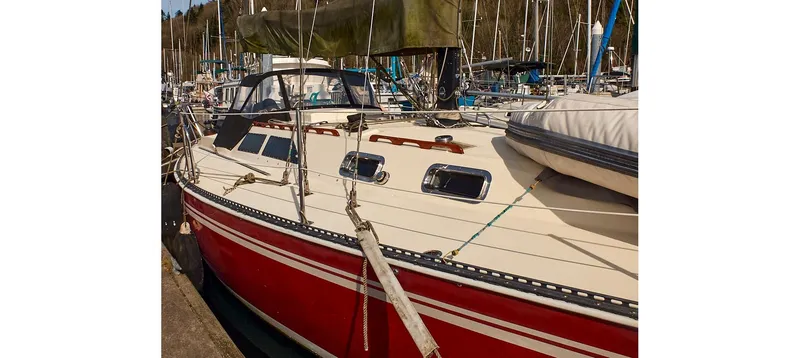 Slide: The Image of Sceptre 36 Brandywine 1980 - 83