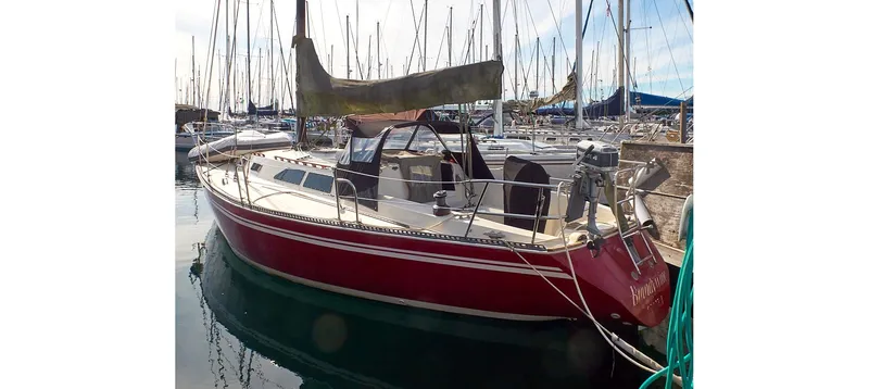 Slide: The Image of Sceptre 36 Brandywine 1980 - 84