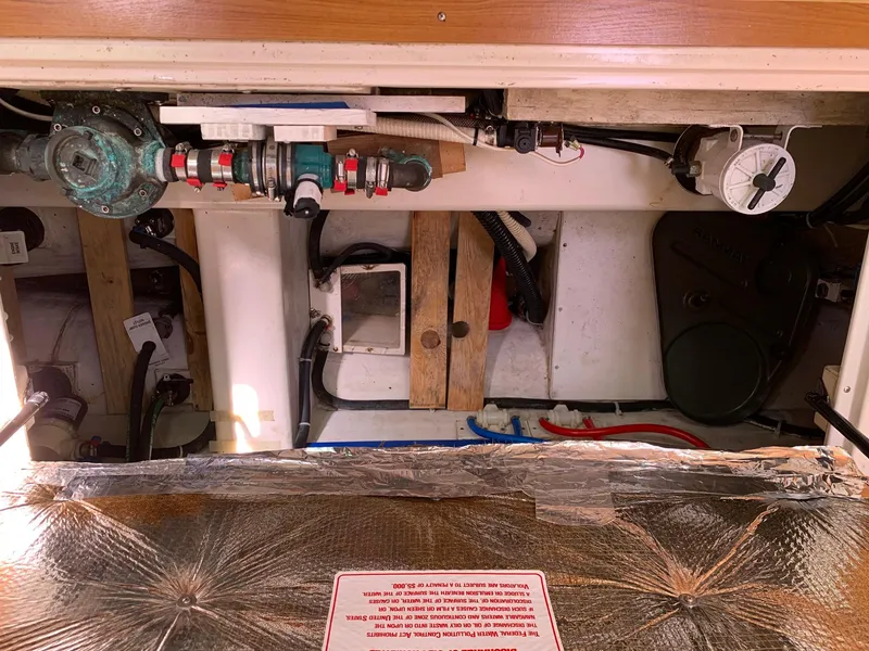 Slide: The Image of Catalina Morgan 440 2007 - 55