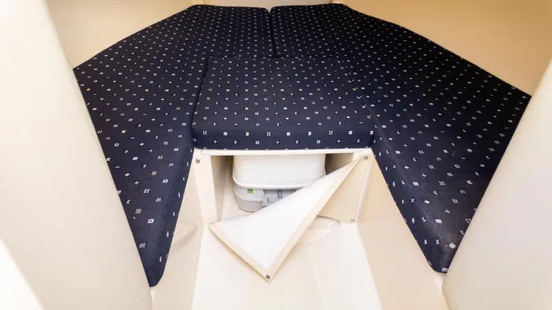 Slide: The Image of Chris-Craft Capri 27 2018 - 18