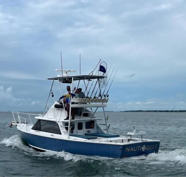 Slide: The Image of 1974 Bertram 31 Flybridge Cruiser on open water, featuring fishing rods and "Nauti Dogs" name. - 1