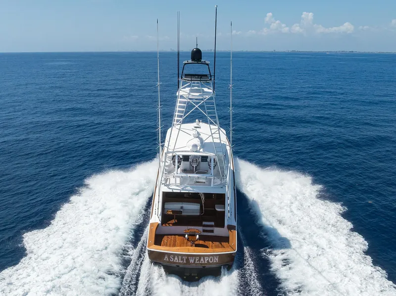 Slide: The Image of Viking 80 A SALT WEAPON - Running Shot - 107