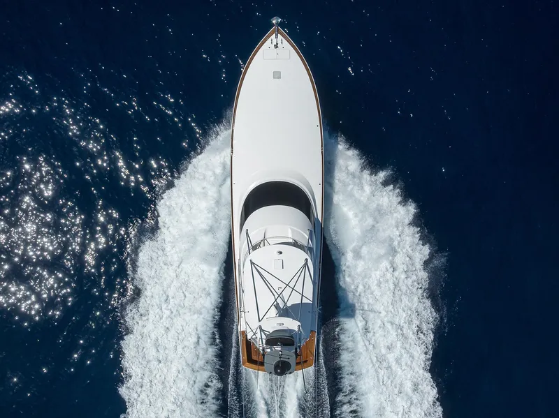 Slide: The Image of Viking 80 A SALT WEAPON - Aerial Profile - 112