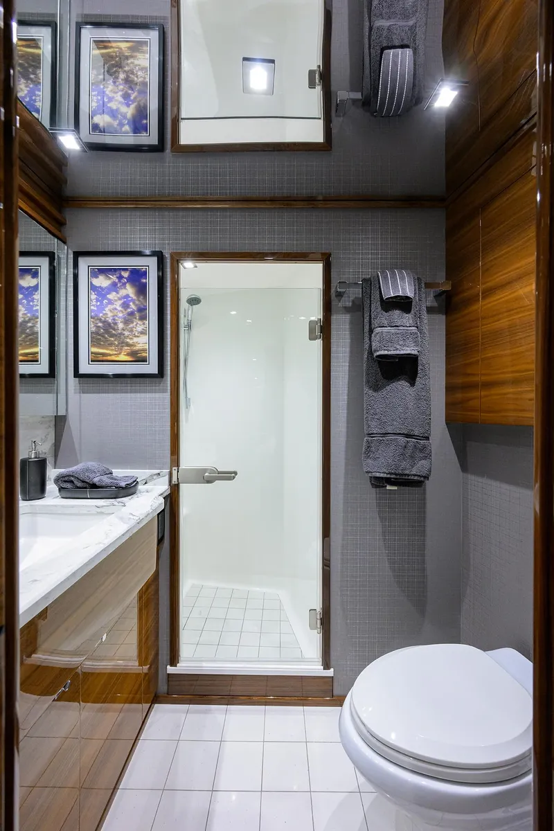 Slide: The Image of Viking 80 A SALT WEAPON - Port Guest Head - 41