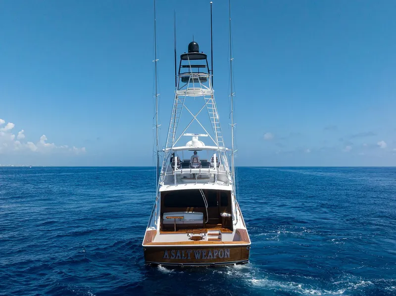 Slide: The Image of Viking 80 A SALT WEAPON - Aft Profile - 97