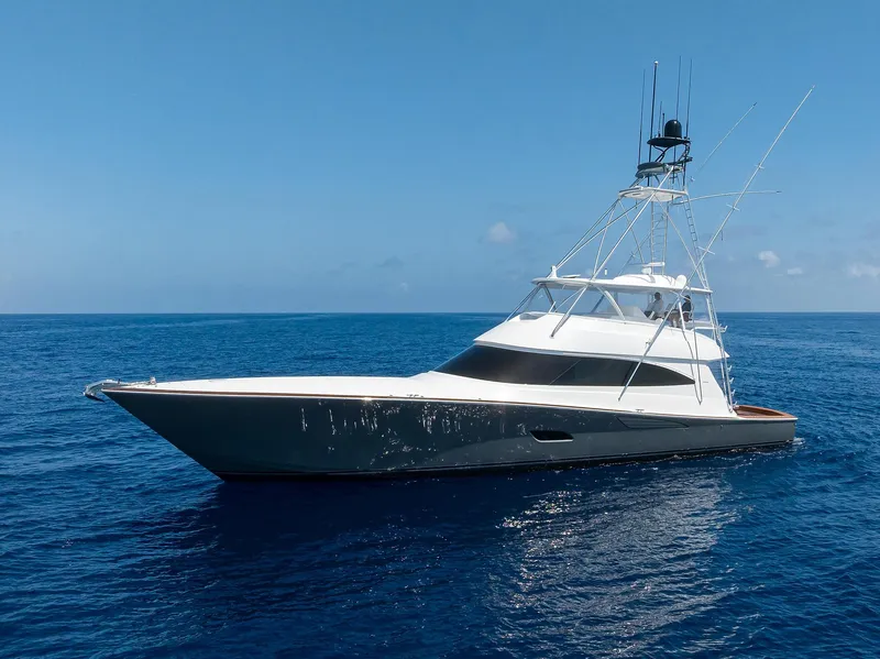 Slide: The Image of Viking 80 A SALT WEAPON - Port Profile - 99