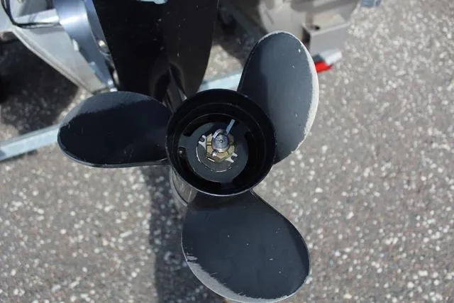 Slide: The Image of Bennington 22 SF 2021 - 10