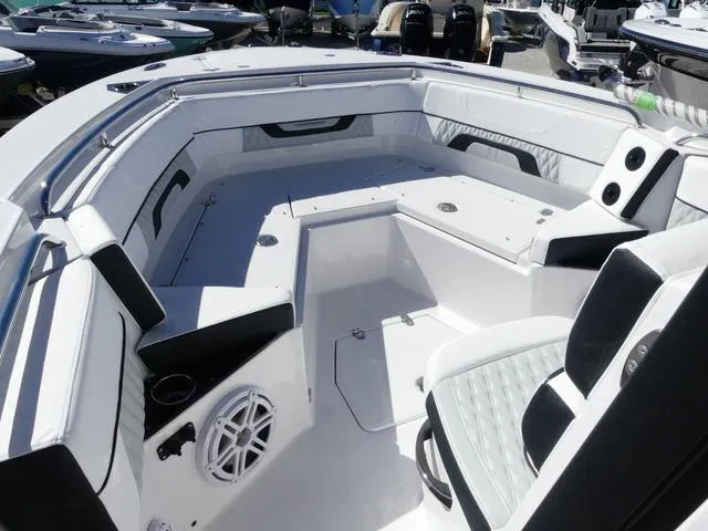 Slide: The Image of Blackfin 252 CC 2025 - 21