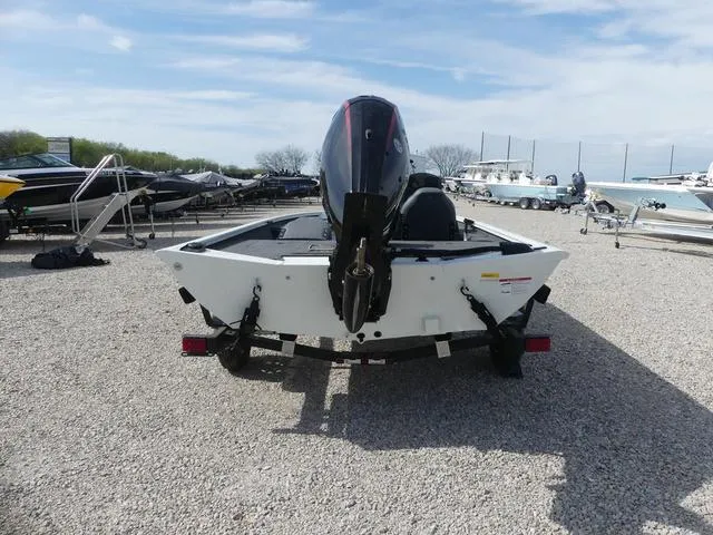 Slide: The Image of Lowe Stinger 195C 2025 - 3