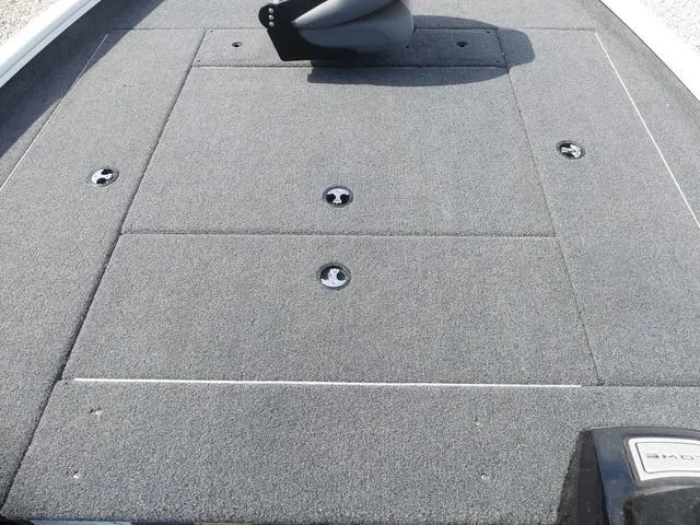 Slide: The Image of Lowe Stinger 195C 2025 - 9