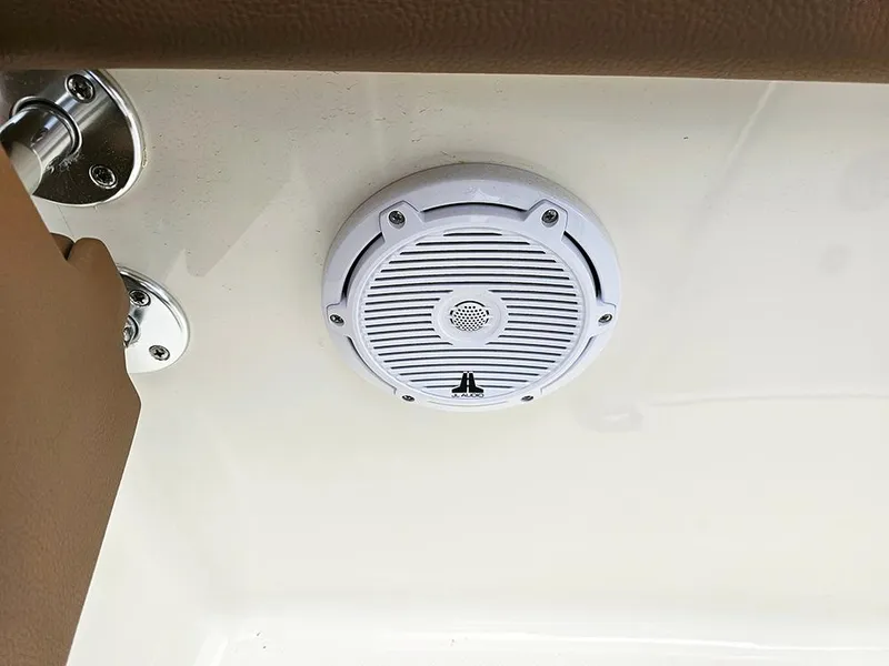Slide: The Image of White speaker on 2025 Pioneer 202 Islander boat interior. - 19