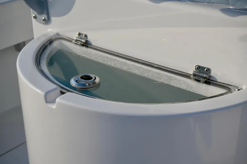 Slide: The Image of Reef Runner 23 - Live Well - 25