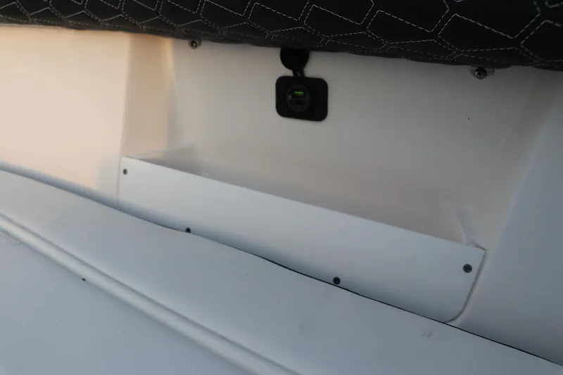 Slide: The Image of 2024 Tidewater 256 LXF boat interior detail with storage compartment and upholstery. - 41