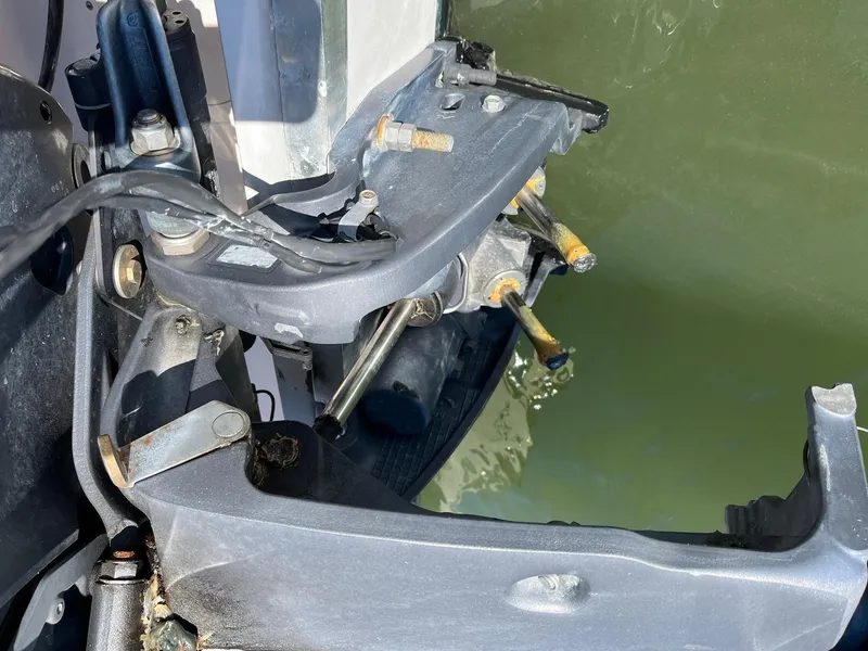 Slide: The Image of Grady-White Freedom 255 2011 - 22