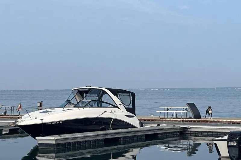 Slide: The Image of Sea Ray 260 Sundancer 2014 - 2