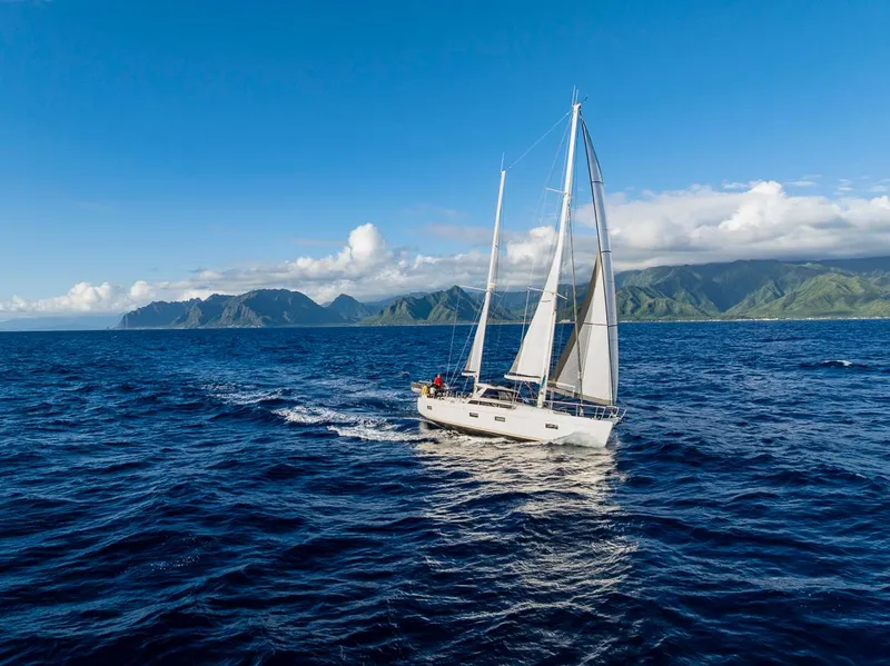 Slide: The Image of Amel 55 2018 - 81