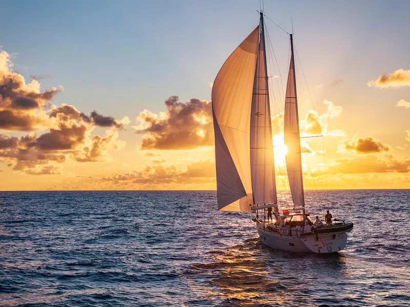 Slide: The Image of Amel 55 2018 - 84