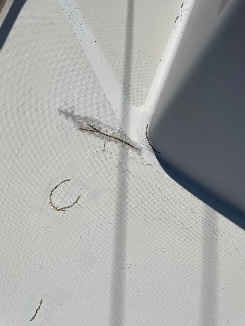 Slide: The Image of Close-up of damage on a 1979 Bristol 32 boat deck. - 13