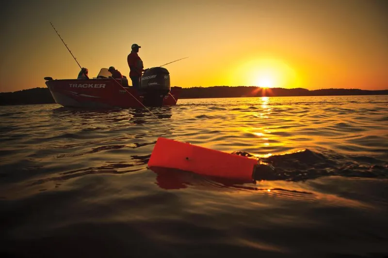 Slide: The Image of Manufacturer Provided Image - 10