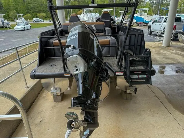 Slide: The Image of Viaggio D24S CC 2025 - 4