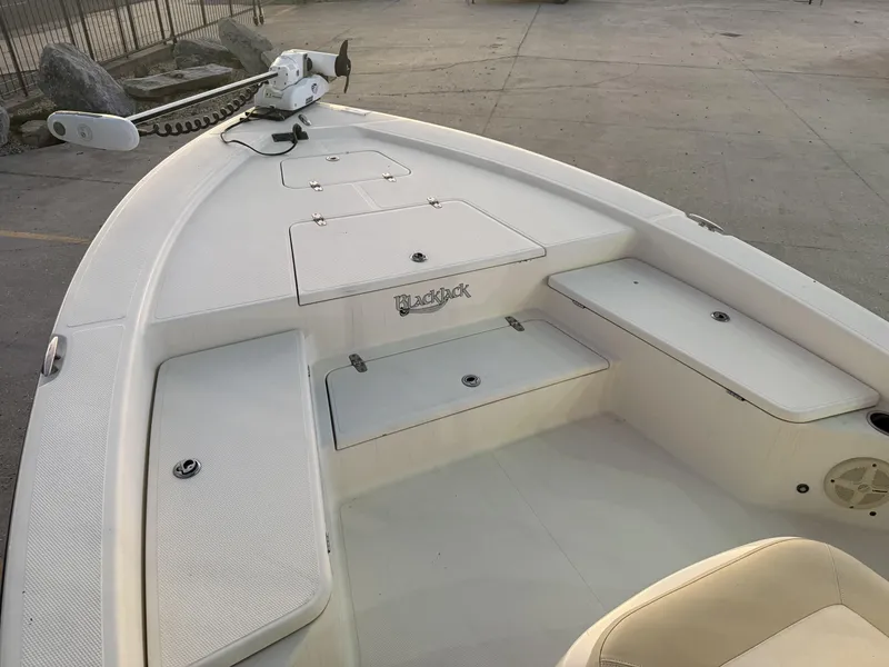 Slide: The Image of Bow of a 2013 BlackJack 224 boat with storage compartments and trolling motor. - 12