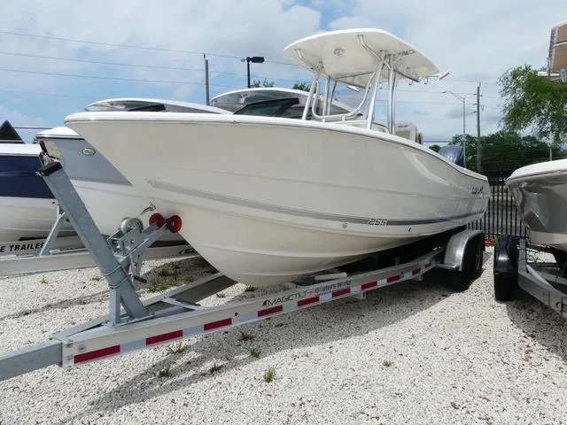 Slide: The Image of Bulls Bay 255CC 2025 - 1