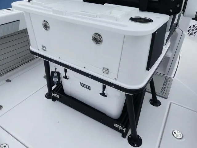 Slide: The Image of Blackfin 252 CC 2025 - 10