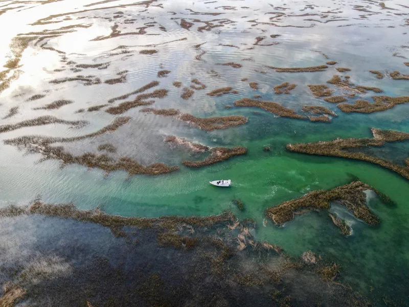 Slide: The Image of Aerial view of a boat navigating through a marshy waterway, surrounded by lush vegetation. - 5