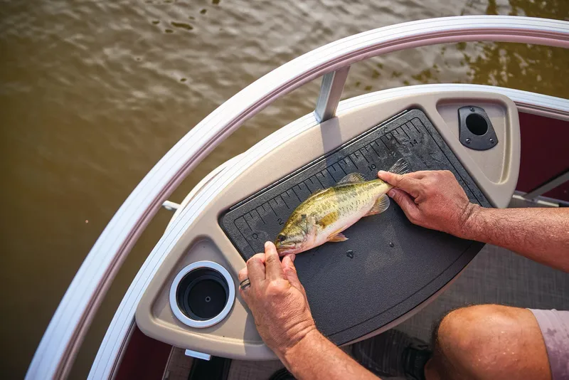 Slide: The Image of Sun Tracker Bass Buggy 18 DLX 2025 - 86