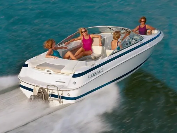 Slide: The Image of Manufacturer Provided Image: 190 - 3