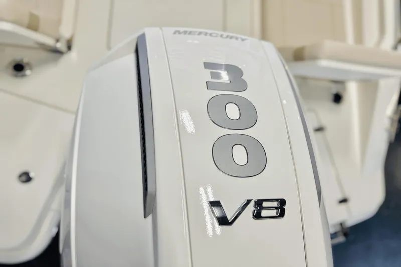 Slide: The Image of Boston Whaler 250 Dauntless 2025 - 12